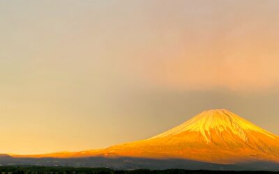 2023年 新年のご挨拶